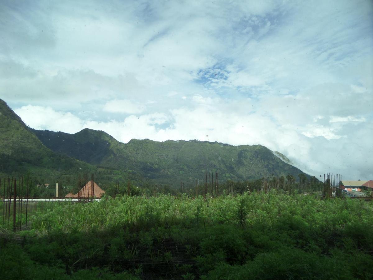 Bromo Permai 1 Hotel Exterior photo